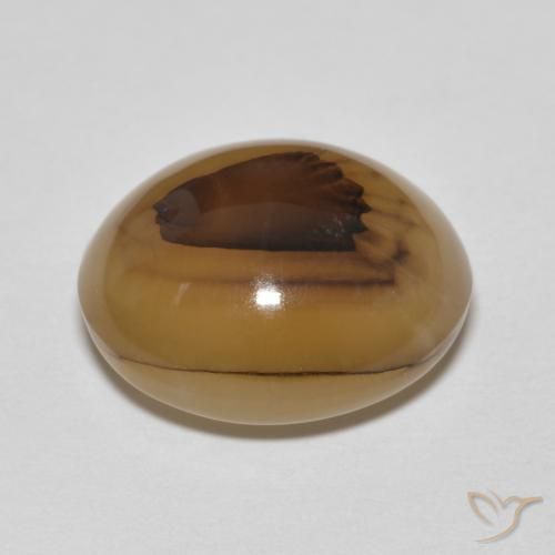 Agata Multicolore naturale da 9.19 ct, Ovale, Traslucido