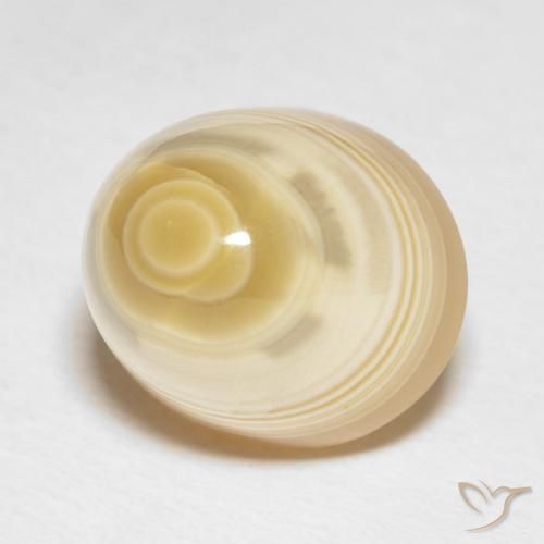 Agata Multicolore naturale da 16.65 ct, Rotondo, Opaco