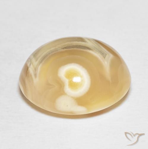 Agata Multicolore naturale da 19.20 ct, Ovale, Opaco