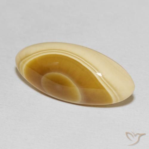 Agata Multicolore naturale da 14.81 ct, Taglio marquise, Opaco