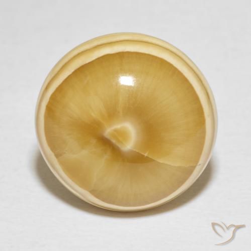 19.82ct Naturale Multicolore Agata, Rotondo, Opaco