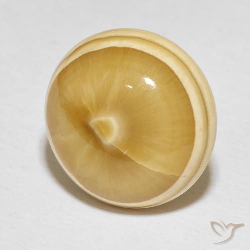 Agata Multicolore naturale da 19.82 ct, Rotondo, Opaco