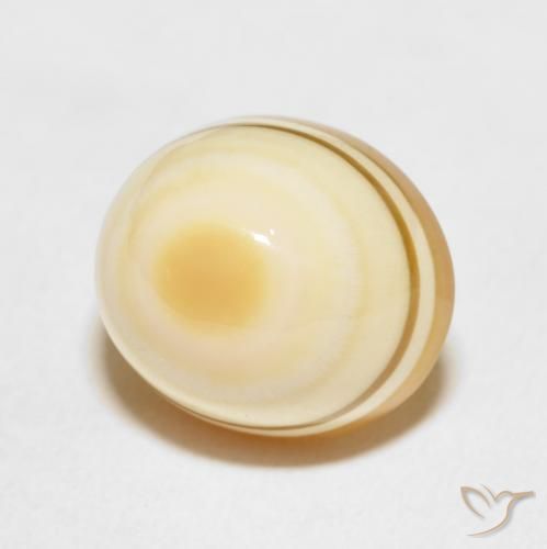 Agata Multicolore naturale da 14.97 ct, Ovale, Opaco