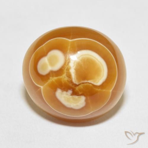 Agata Multicolore naturale da 19.53 ct, Ovale, Opaco