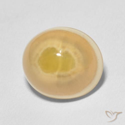 Agata Multicolore naturale da 7.51 ct, Ovale, Opaco