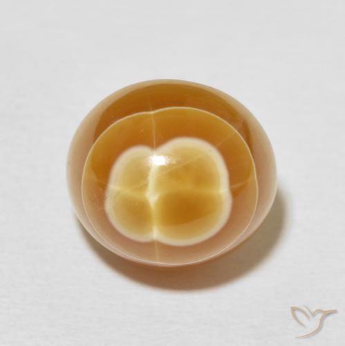11.30ct Naturale Multicolore Agata, Ovale, Opaco