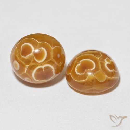 Gemme di Agata Multicolore naturale da 33.49 ct, Ovale, Opaco