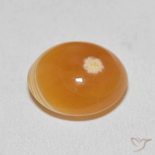 Agata Multicolore naturale da 15.33 ct, Ovale, Opaco