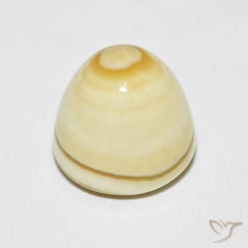 Agata Multicolore naturale da 15.45 ct, Taglio a fantasia, Opaco