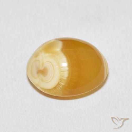 Agata Multicolore naturale da 10.47 ct, Ovale, Opaco