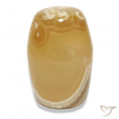 Agata Multicolore naturale da 55.45 ct, Taglio a fantasia, Traslucido