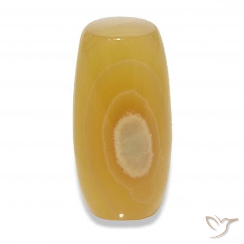 24.20ct Multicolore Agata, Taglio a fantasia, Traslucido