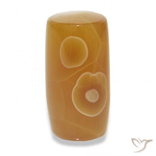 13.53ct Multicolore Agata, Taglio a fantasia, Traslucido