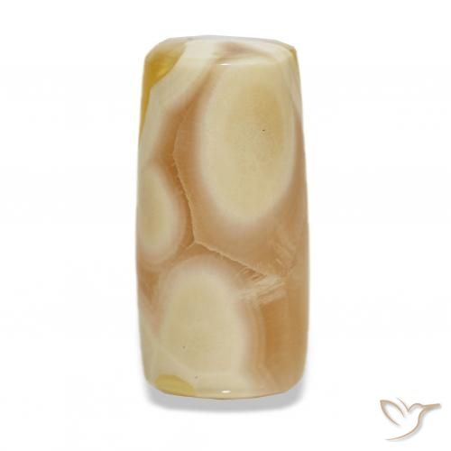 18.45ct Multicolore Agata Pietre preziose, Taglio a fantasia, Traslucido