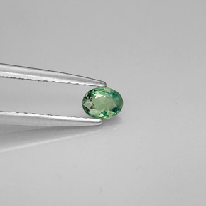 Alessandrite naturale multicolore da 0,26 ct, taglio ovale, VVS-VS