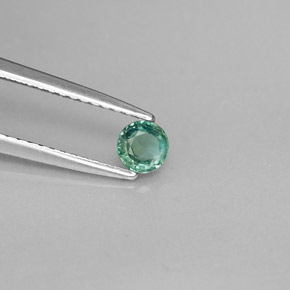 Alessandrite Verde / Rosso naturale da 0.27 ct, Taglio rotondo, VVS-VS