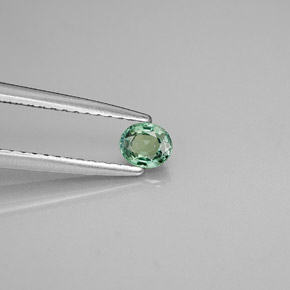 Alessandrite Verde / Rosso naturale da 0.25 ct, Taglio ovale, VVS-VS