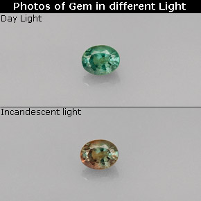 Alessandrite Verde / Rosso naturale da 0.26 ct, Taglio ovale, VVS-VS