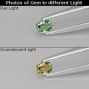 Alessandrite Verde / Rosso naturale da 0.20 ct, Taglio ovale, VS