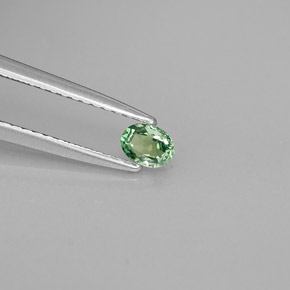 Alessandrite Verde / Rosso naturale da 0.20 ct, Taglio ovale, VS