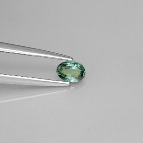 Alessandrite naturale multicolore da 0,23 ct, taglio ovale, VS