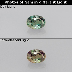 Alessandrite naturale multicolore da 0,18 ct, taglio ovale, VS