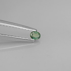Alessandrite naturale multicolore da 0,08 ct, taglio ovale, VS
