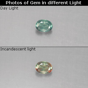 Alessandrite naturale multicolore da 0,13 ct, taglio ovale, VS