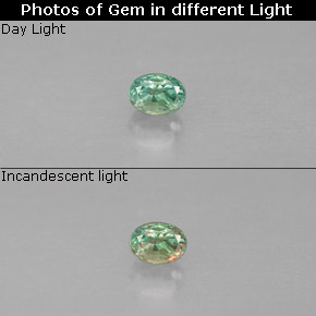 Alessandrite Verde / Rosso naturale da 0.12 ct, Taglio ovale, VS