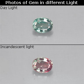 Alessandrite naturale multicolore da 0,14 ct, taglio ovale, VS