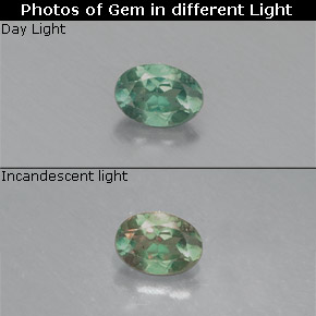 Alessandrite naturale multicolore da 0,13 ct, taglio ovale, VS