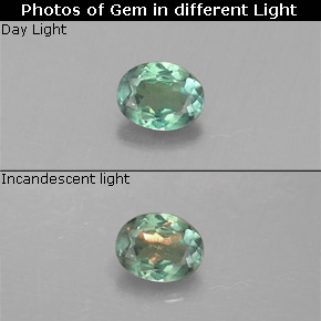 Alessandrite naturale multicolore da 0,13 ct, taglio ovale, VS