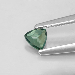 Alessandrite Verde / Rosso naturale da 0.17 ct, Taglio trillion, VS