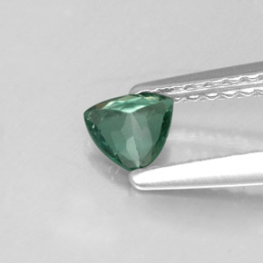 Alessandrite naturale multicolore da 0,24 ct, trillion, VS