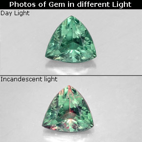 Alessandrite Verde / Rosso naturale da 0.24 ct, Taglio trillion, VS