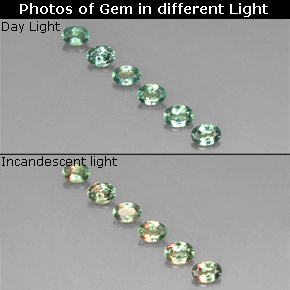 Gemme di Alessandrite Verde / Rosso naturale da  ct, Taglio ovale, VS