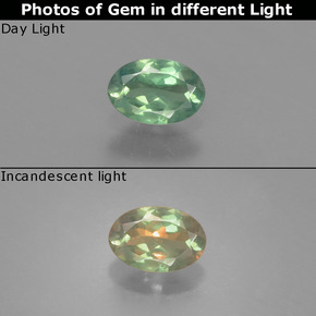 Alessandrite Verde / Rosso naturale da 0.46 ct, Taglio ovale, VS