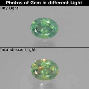 Alessandrite Verde / Rosso naturale da 0.51 ct, Taglio ovale, VS