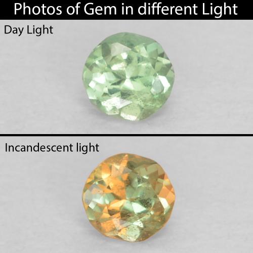 Alessandrite naturale verde da 0,06 ct, taglio rotondo, VS