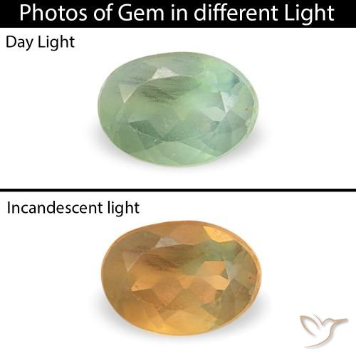 0.12ct Naturale Verde salvia Alessandrite, Ovale, VVS-VS