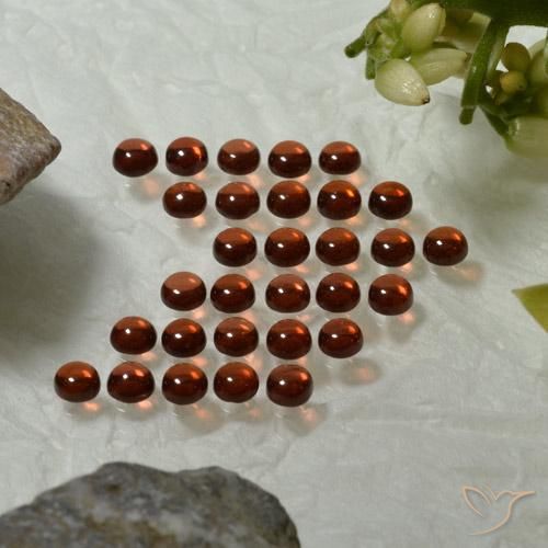Gemme di Granato Almandino Rosso medio naturale da 5.00 ct, Rotondo, Trasparente