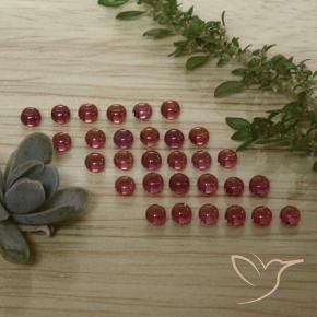 Gemme di Granato Almandino Rosso medio naturale da 4.83 ct, Rotondo, Trasparente
