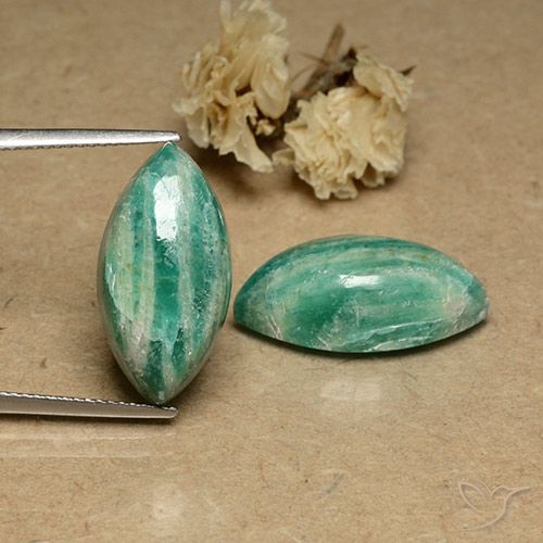 19.10ctw Naturale Verde freddo Amazzonite, Taglio marquise, Opaco