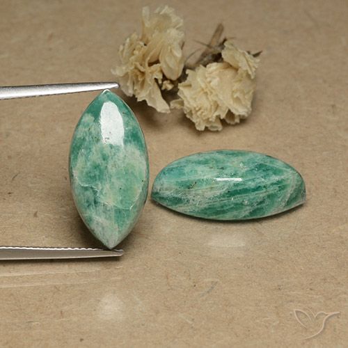 17.71ctw Naturale Verde medio Amazzonite, Taglio marquise, Opaco