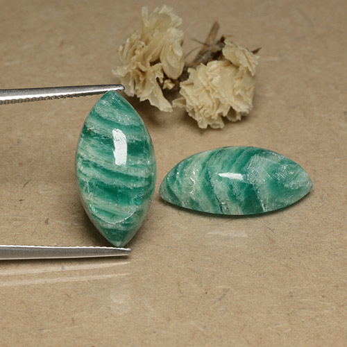 Gemme di Amazzonite Verde Pino naturale da 18.28 ct, Taglio marquise, Opaco