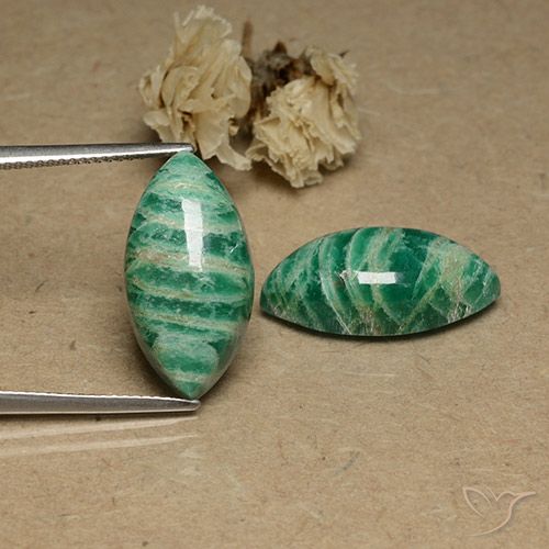Gemme di Amazzonite Verde medio naturale da 18.56 ct, Taglio marquise, Opaco