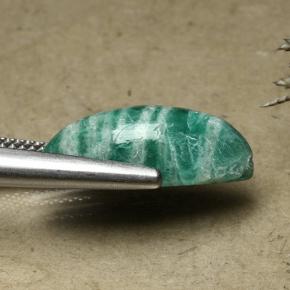 Amazzonite Verde Pino naturale da 8.07 ct, Taglio marquise, Opaco