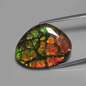 Ammolite multicolore naturale da 28,64 ct, forma fantasia, opaco