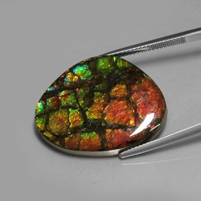 Ammolite multicolore naturale da 28,64 ct, forma fantasia, opaco