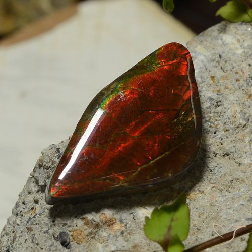 17.03ct Naturale Multicolore Ammolite, Taglio a fantasia, Opaco